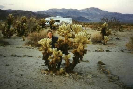 Joshua Tree N.P.