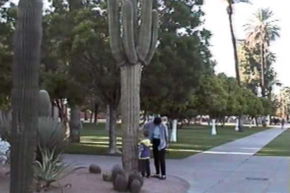 Phoenix