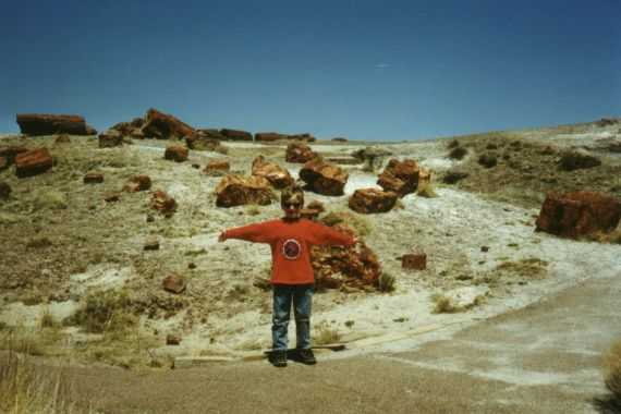 Petrified Forest N.P.