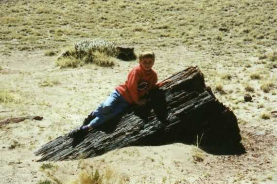 Petrified Forest N.P.
