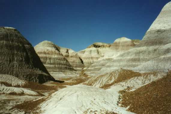Petrified Forest N.P.