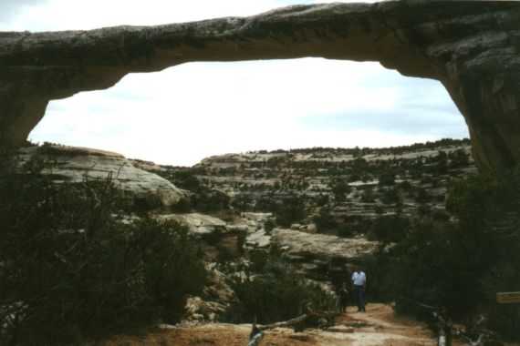 Natural Bridges N.M.