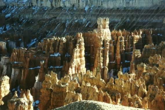 Bryce Canyon N.P.
