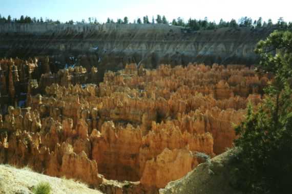 Bryce Canyon N.P.