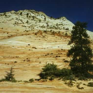 Zion N.P.