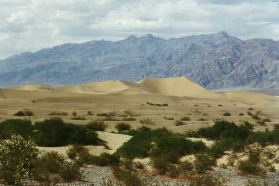 Death Valley N.P.