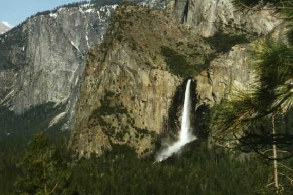 Yosemite N.P.