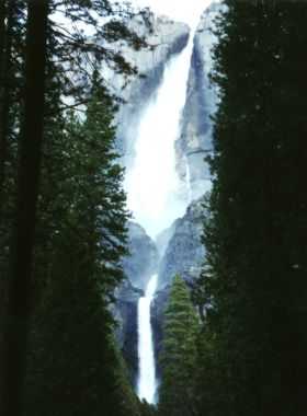 Yosemite N.P.
