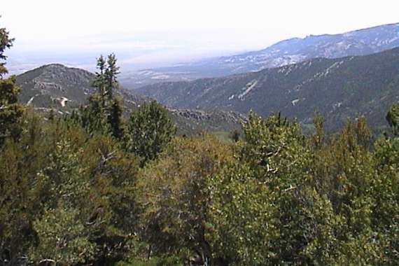 Great Basin National Park
