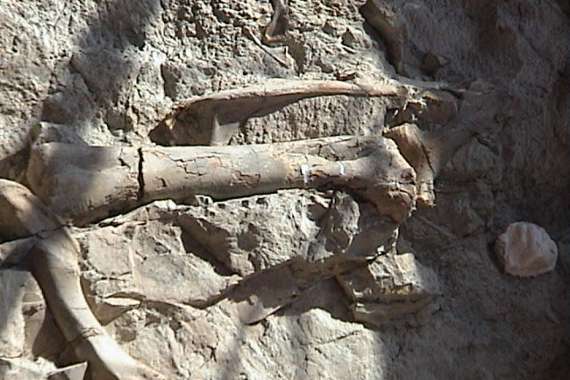 Dinosaur National Monument