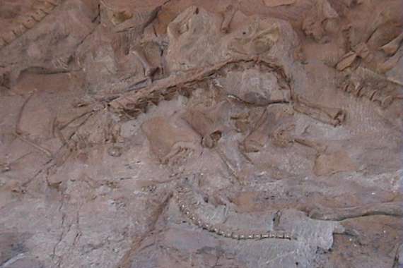 Dinosaur National Monument
