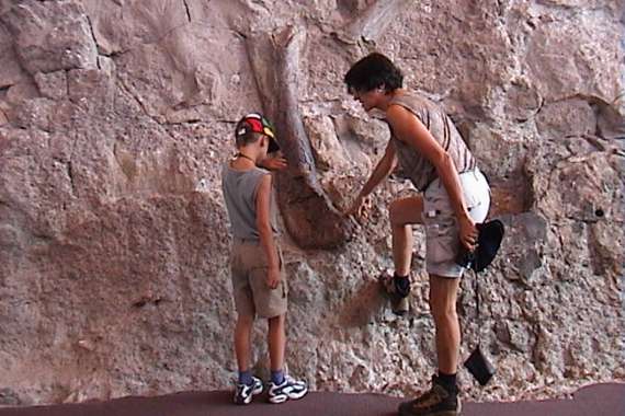 Dinosaur National Monument