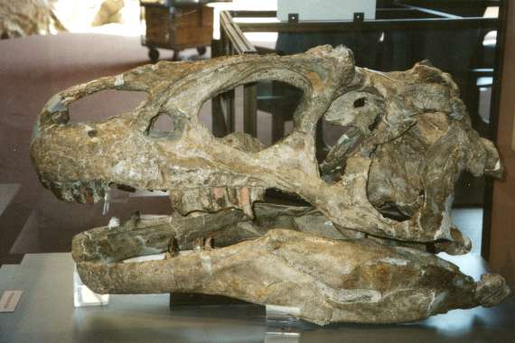 Dinosaur National Monument