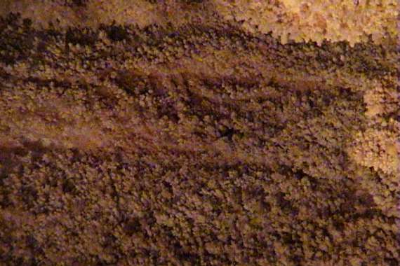 Wind Cave National Park