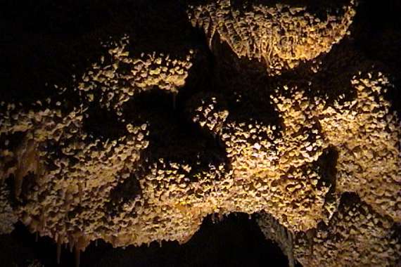 Jewel Cave National Park