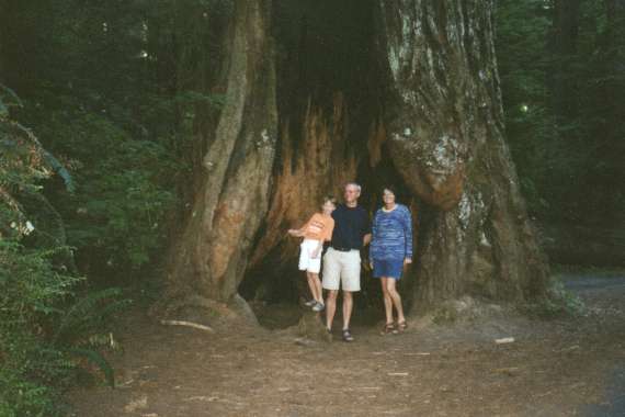 Redwood National Park