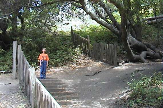 Point Reyes