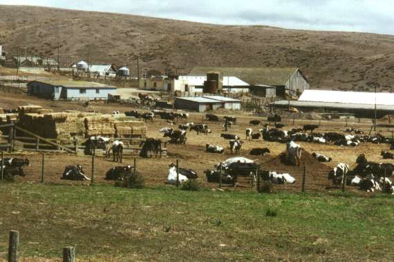 Point Reyes