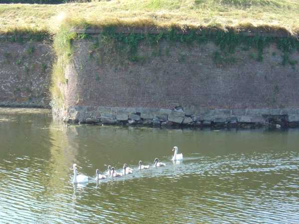 Helsing&ouml;r