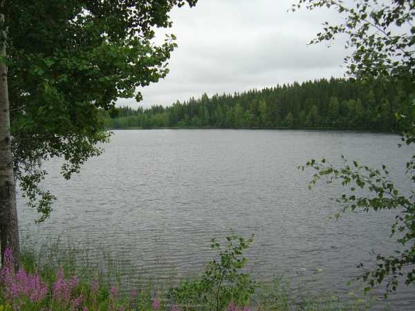J&auml;nnevirta