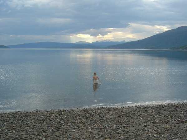 Ofotfjord