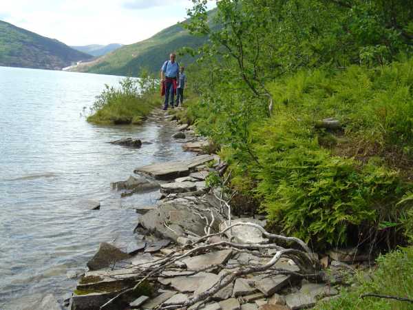 Svartisen
