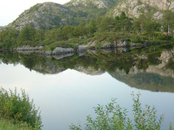 Kvamskogen