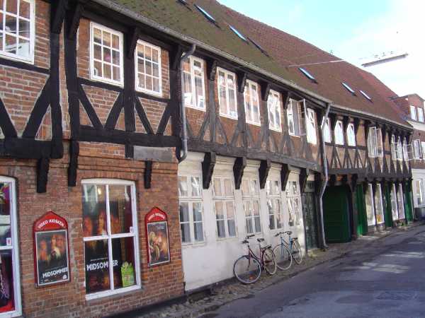 Ribe