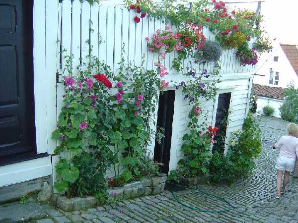 Stavanger