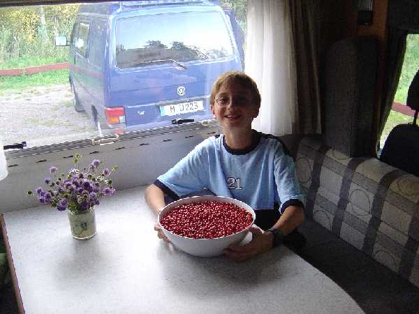Vitlycke