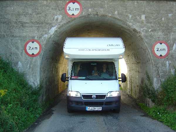 Bjernede