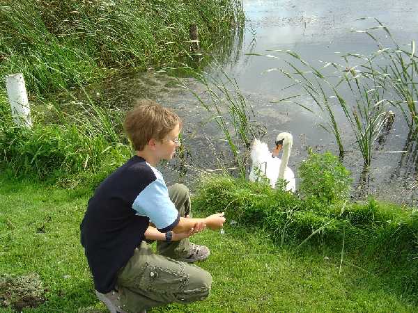 Gr&auml;sten